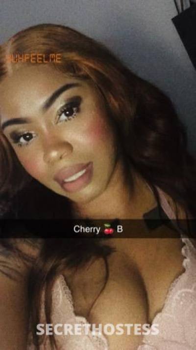 CherryB 27Yrs Old Escort Bakersfield CA Image - 5