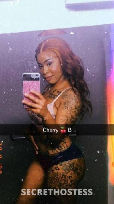 CherryB 27Yrs Old Escort Bakersfield CA Image - 6