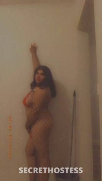 CherryTooGood 23Yrs Old Escort Wilmington DE Image - 4