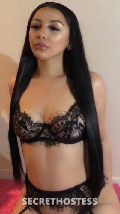 Gigi 24Yrs Old Escort North Bay CA Image - 1