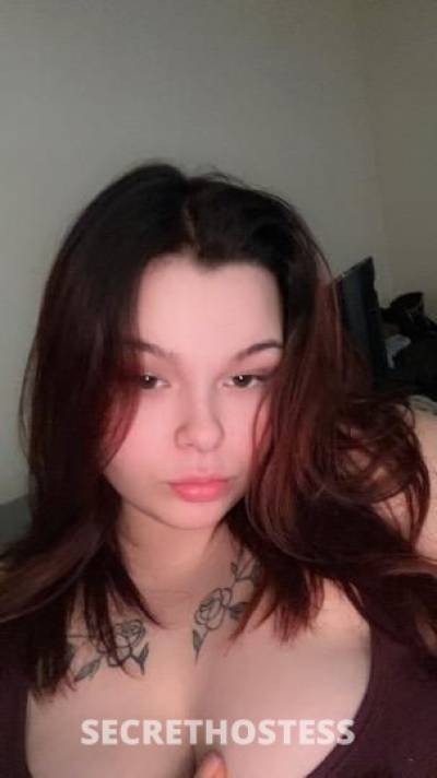 Maggie 21Yrs Old Escort Saint Louis MO Image - 10