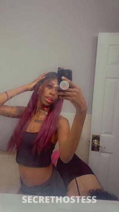 Mya 24Yrs Old Escort Northern Virginia DC Image - 5