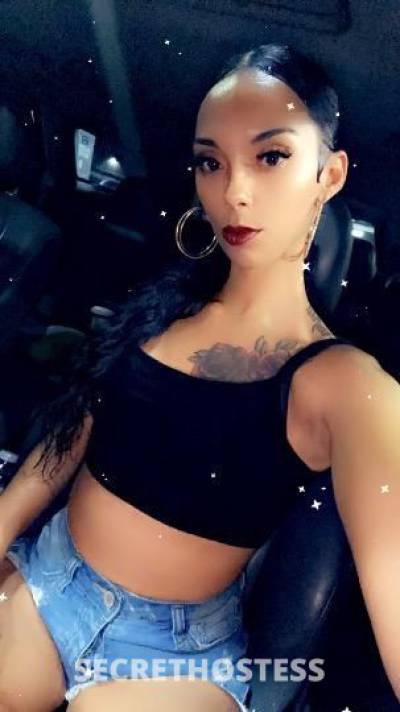 27 year old Escort in Fresno CA Sexii HOT &amp; Wet Bombshell Ready For YOU Call me NOW