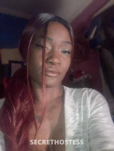 26 year old Escort in Queens NY fresh out the shower two chocolate kittens llooking to party