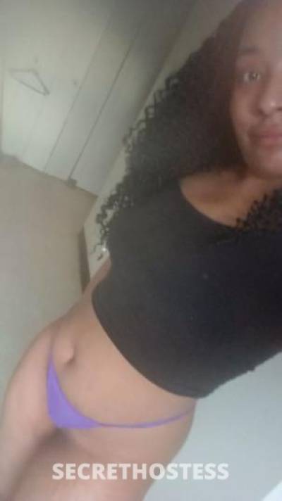 Samira 26Yrs Old Escort Manhattan NY Image - 4