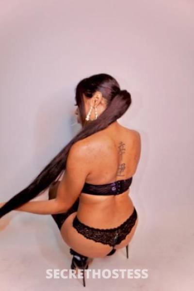 Sasha 26Yrs Old Escort Seattle WA Image - 5