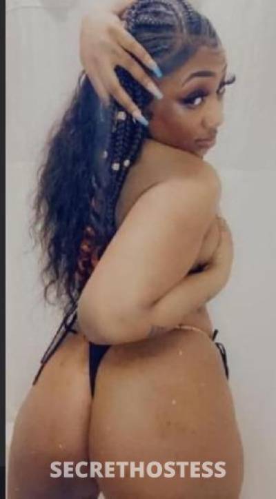 Shantell 22Yrs Old Escort Concord CA Image - 4