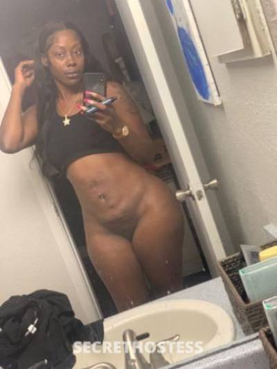 Star 26Yrs Old Escort Dallas TX Image - 3