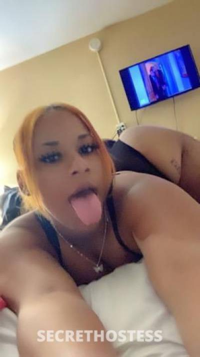 Strawberry 21Yrs Old Escort Gainesville FL Image - 1