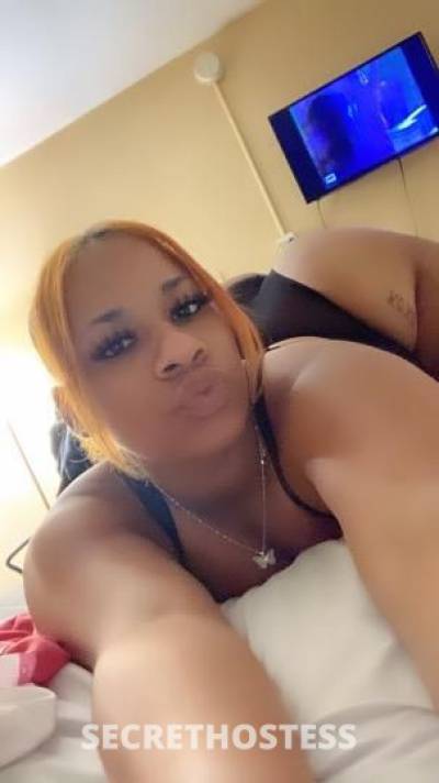 Strawberry 21Yrs Old Escort Gainesville FL Image - 4