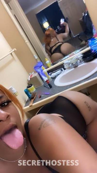 Strawberry 21Yrs Old Escort Gainesville FL Image - 5