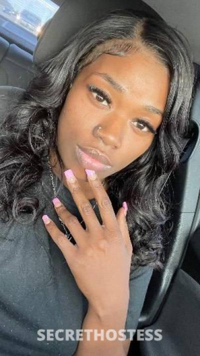 TheProfessor 25Yrs Old Escort Chicago IL Image - 6