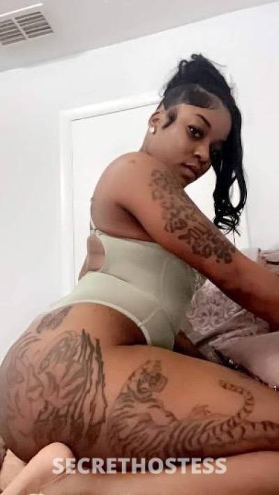 Yazzy 26Yrs Old Escort Jacksonville FL Image - 1