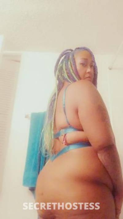 28Yrs Old Escort Tampa FL Image - 2