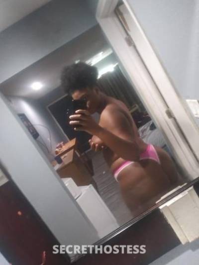 23Yrs Old Escort 175CM Tall Fort Worth TX Image - 1