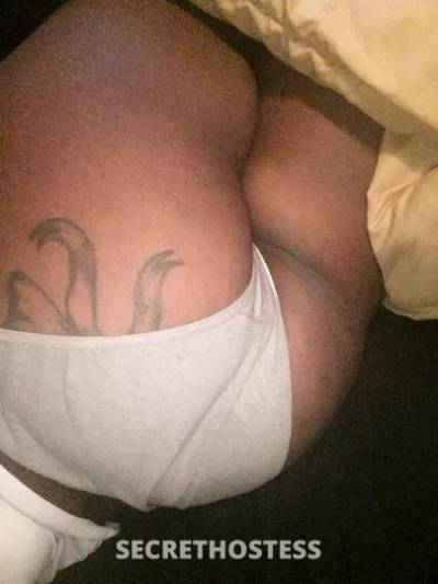 28Yrs Old Escort Memphis TN Image - 2