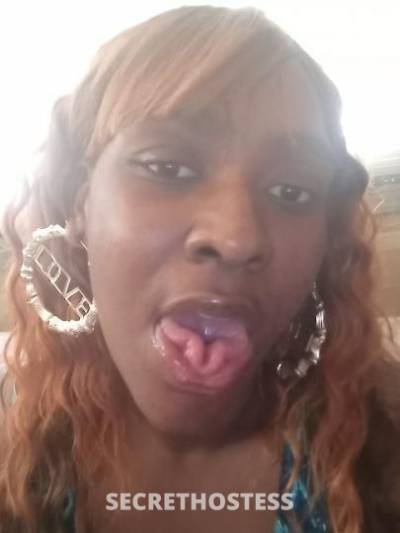 33Yrs Old Escort Columbia SC Image - 2