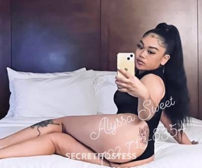 Alyssa 27Yrs Old Escort Northern Virginia DC Image - 4