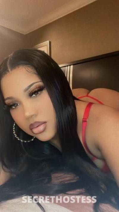 Angel 24Yrs Old Escort New Orleans LA Image - 7