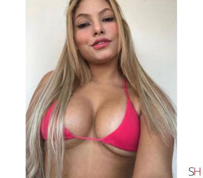 Bruna 23Yrs Old Escort Somerset Image - 1