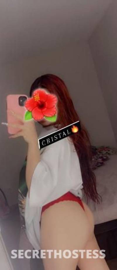 CRISTAL 22Yrs Old Escort Dallas TX Image - 2