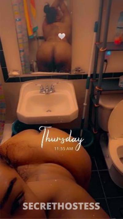 Caramel🍯 23Yrs Old Escort Bronx NY Image - 1