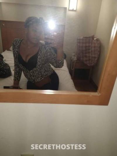 Coco 22Yrs Old Escort Scranton PA Image - 5