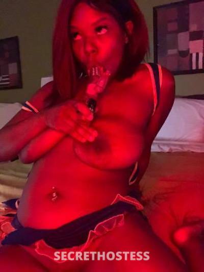 EcstasyAva 25Yrs Old Escort Fayetteville NC Image - 6