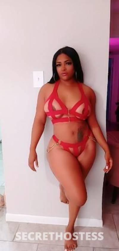 Ely 23Yrs Old Escort Houston TX Image - 6