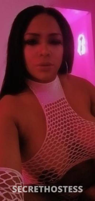 Ely 23Yrs Old Escort Houston TX Image - 8