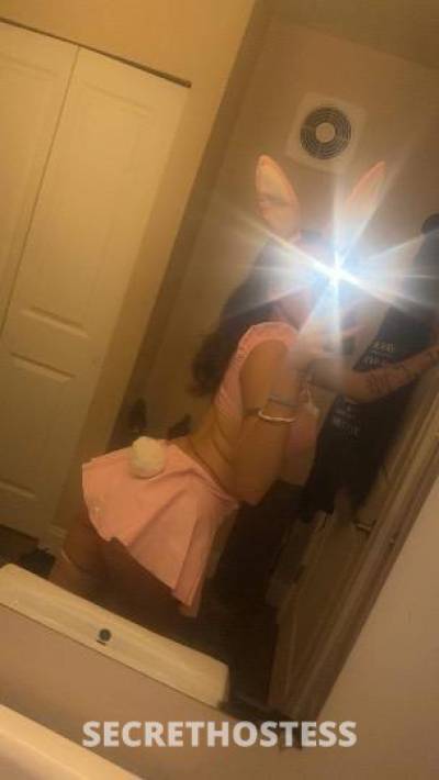 Jade 23Yrs Old Escort Scranton PA Image - 0