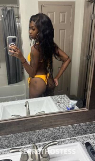 Louie 22Yrs Old Escort Pittsburgh PA Image - 1
