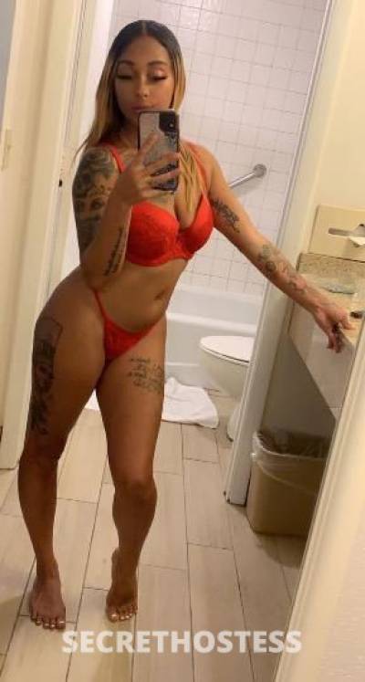 Lucky 25Yrs Old Escort West Palm Beach FL Image - 3