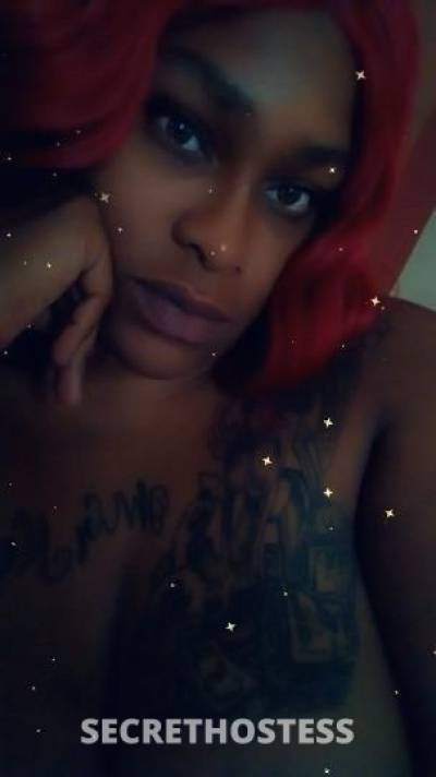 MISSRABBIT 32Yrs Old Escort Toledo OH Image - 4