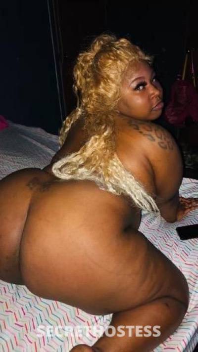 MSBEAUTY 25Yrs Old Escort New York City NY Image - 3