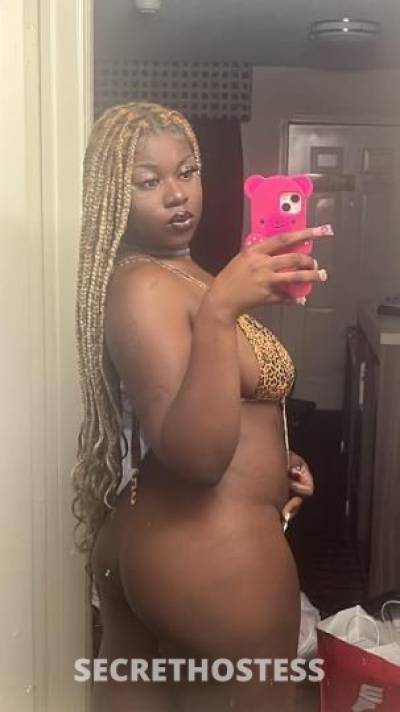 Noella 21Yrs Old Escort Killeen TX Image - 0