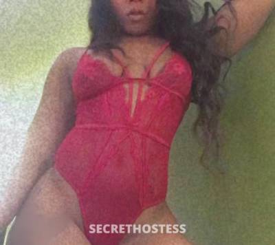 QueenEgyptt 21Yrs Old Escort Saint Louis MO Image - 1