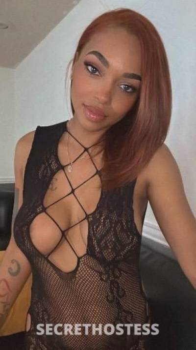 Rayne 26Yrs Old Escort Houston TX Image - 4