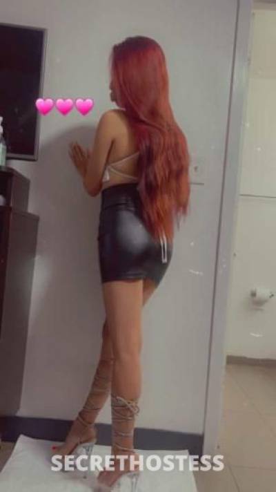 Sasha 22Yrs Old Escort Dallas TX Image - 5