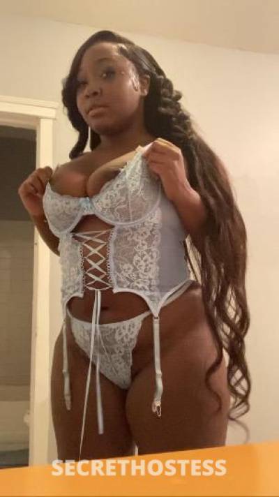 Shay 27Yrs Old Escort Rochester NY Image - 0