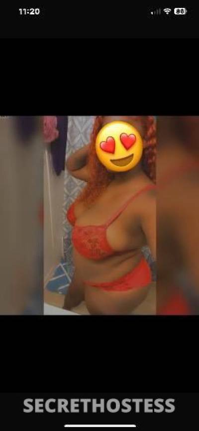 23Yrs Old Escort Tampa FL Image - 0