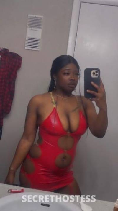 23Yrs Old Escort Tampa FL Image - 0