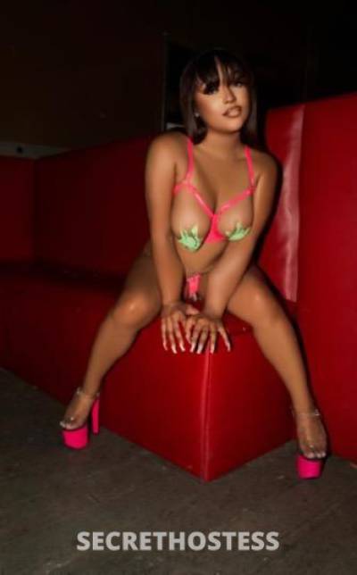 23 Year Old French Escort Fort Lauderdale FL - Image 3