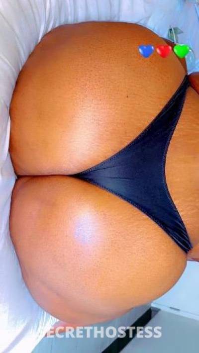 28Yrs Old Escort Tampa FL Image - 1