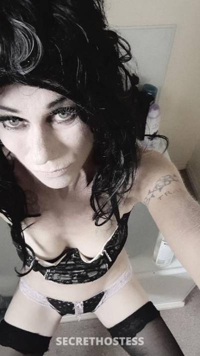 Dexy 35Yrs Old Escort Mackay Image - 13