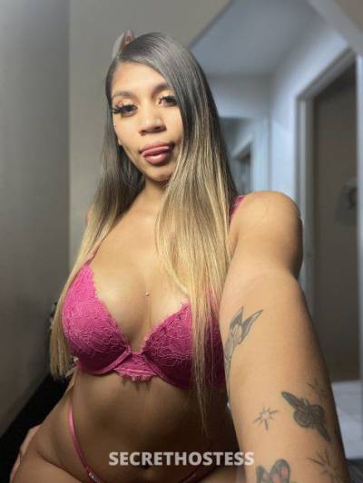 23 Year Old Hispanic Escort Fort Lauderdale FL - Image 4