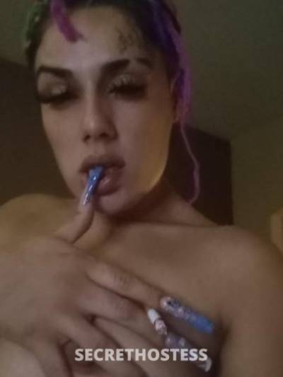 27Yrs Old Escort Houston TX Image - 4