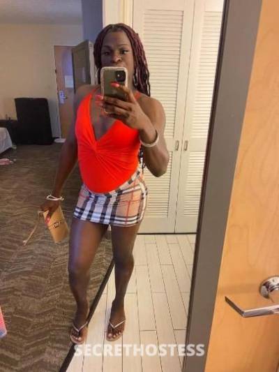 Bubbles 22Yrs Old Escort Norfolk VA Image - 0