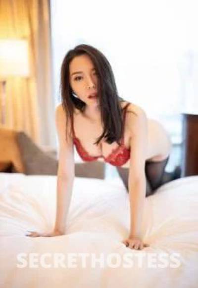 Nichole 22Yrs Old Escort Size 8 48KG Melbourne Image - 7