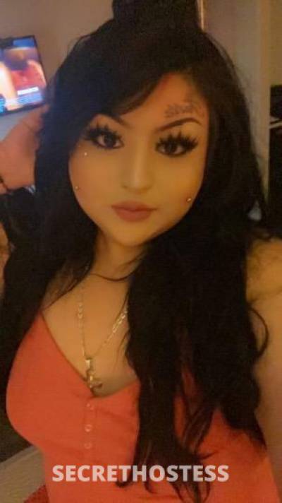 22 year old Latino Escort in San Diego CA Sexy Latina BBW